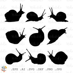 Snail Svg, Snail Cricut, Snail Silhouette, Snail Cutting files, Snail Stencil Dxf, Snail Templates Dxf