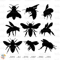 Bee Svg, Wasp Svg, Bee Silhouette, Bumblebee Svg, Wasp Cricut, Bee Stencil Dxf, Bee Templates, Bumblebee Silhouette