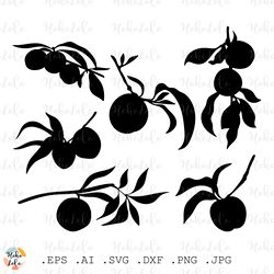Peach Svg, Peach Silhouette, Fruit Svg, Peach Cricut, Peach Stencil Dxf, Peach Clipart, Apricot Svg, Apricot Png