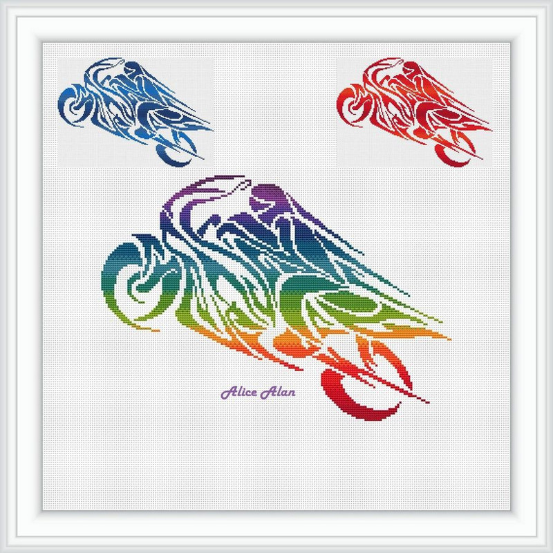 MotorbikeRainbowe0jpg