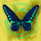 87891A4D-FDAE-49A2-9E81-5C644A9FF0A5.jpeg