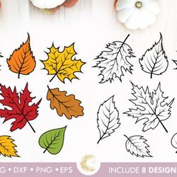realistic fall leaves bundle svg realistic fall leaves bundle svg