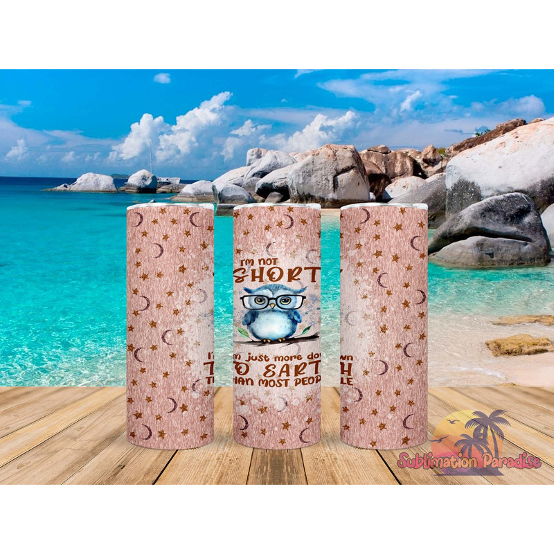 Sarcastic Owl Tumbler, Sarcastic Owl Skinny Tumbler, Owl Wisdom Tumbler.png