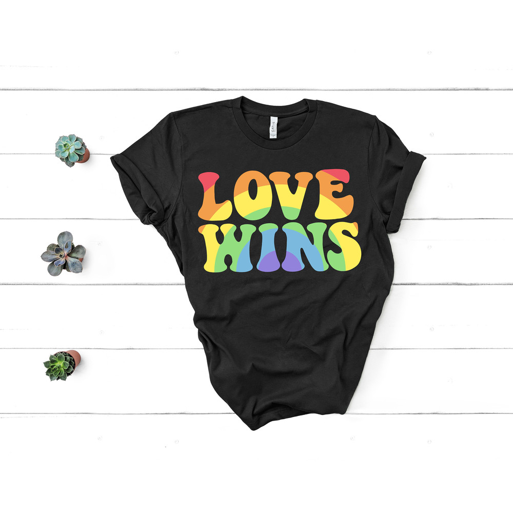 Love Wins Shirt,Love is Love Shirt,LGBT Shirt,Pride Shirt,Equality Shirt,Love is Love,LGBT Outfit,Love Wins,Rainbow Pride Shirt,LGBTQ Gift - 2.jpg