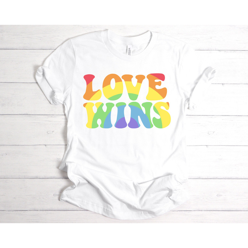 Love Wins Shirt,Love is Love Shirt,LGBT Shirt,Pride Shirt,Equality Shirt,Love is Love,LGBT Outfit,Love Wins,Rainbow Pride Shirt,LGBTQ Gift - 3.jpg