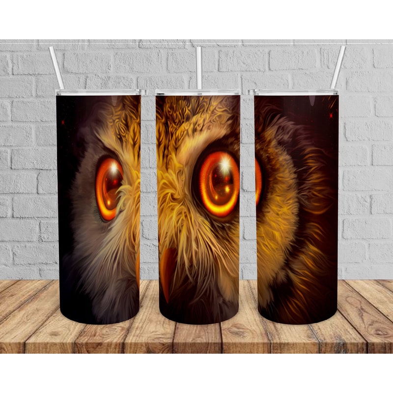 Colorful Owl 20oz tumbler png , Owl tumbler png, OWl png, Tumbler Sublimation Design , OWl tumbler wrap , Tumbler tepmlate digital download.jpg