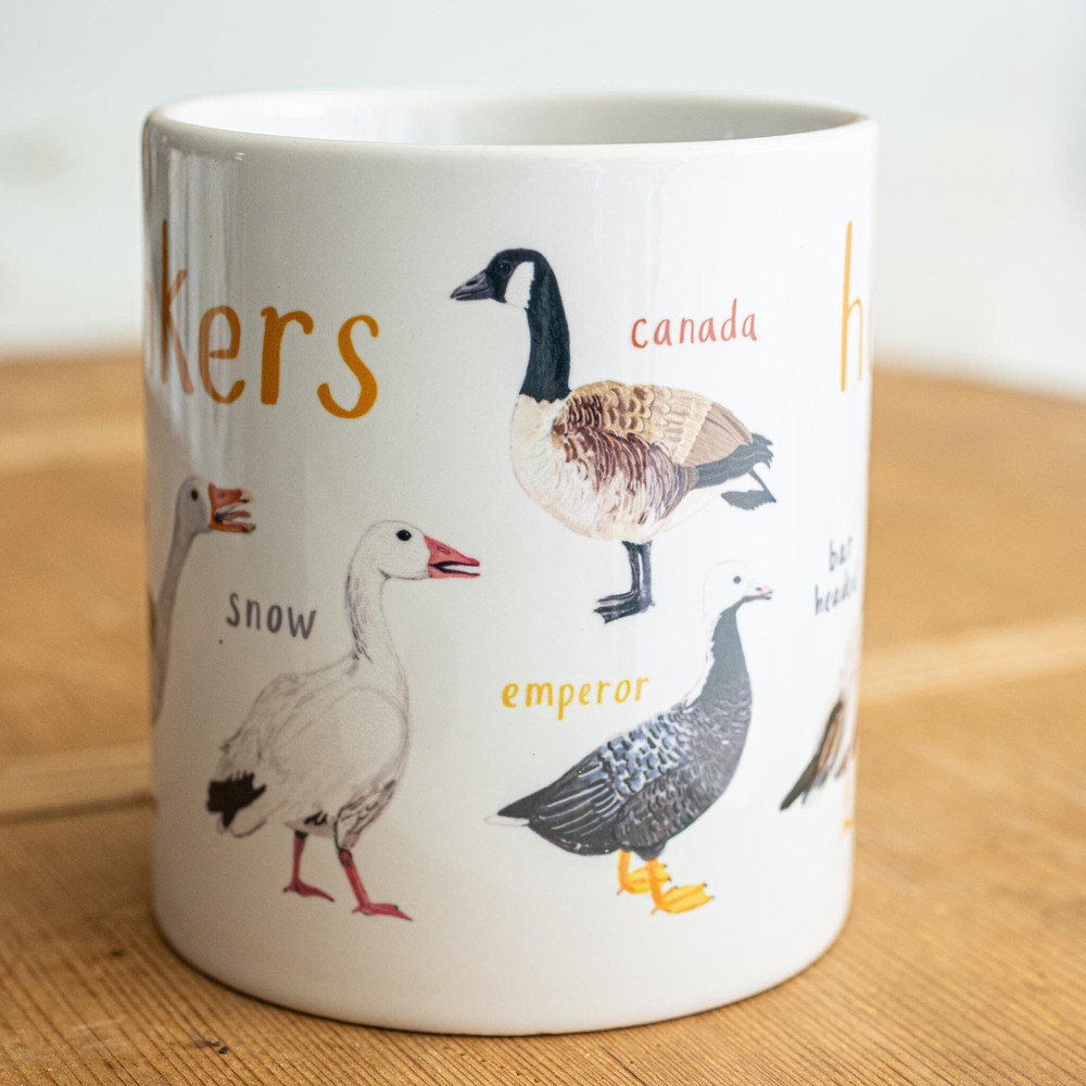 Set of 4 Ceramic Bird Pun Mugs - Floaters Honkers Hooters Shags - 4.jpg
