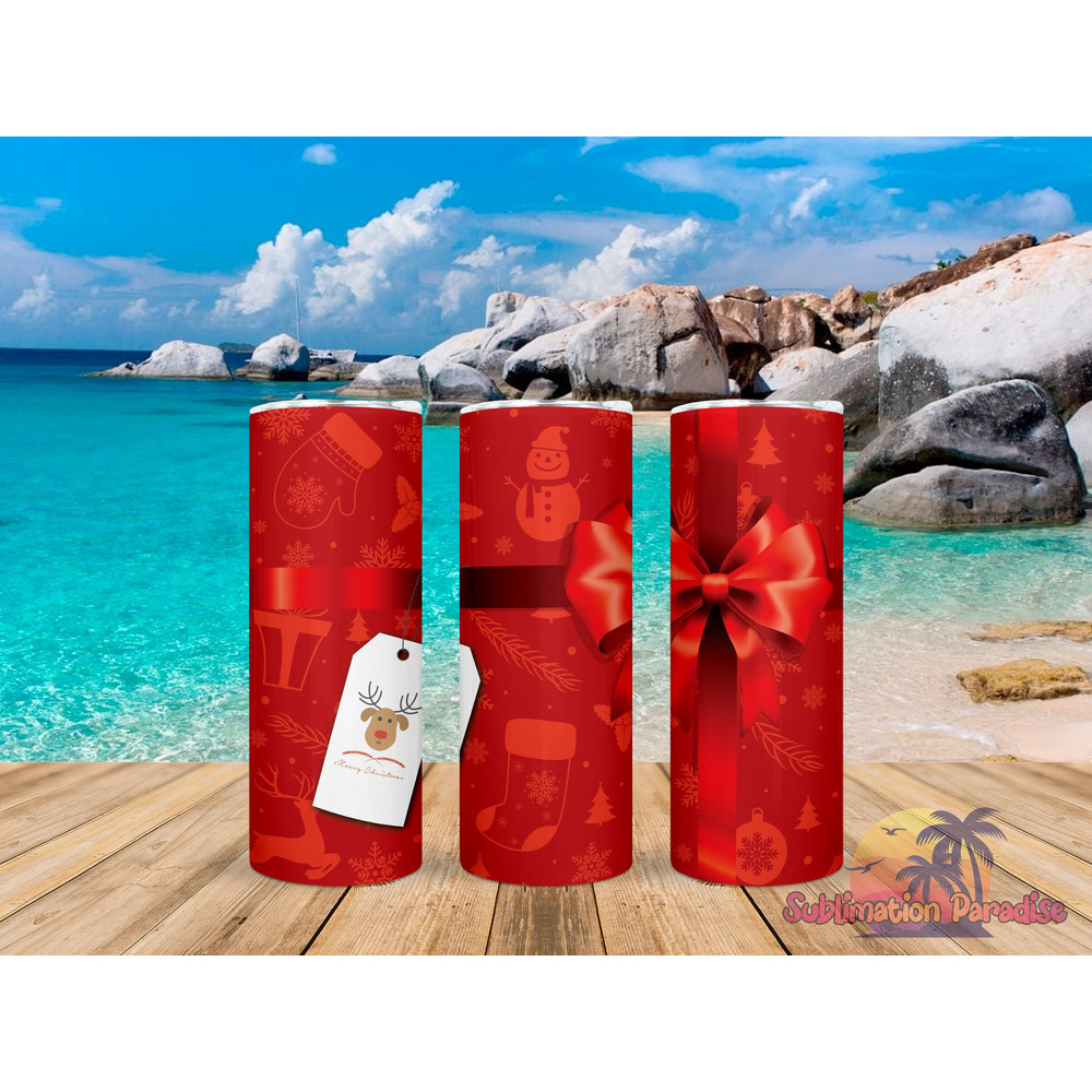 Red Christmas Package Tumbler,Red Christmas Package Skinny Tumbler,Awareness Tumbler.png