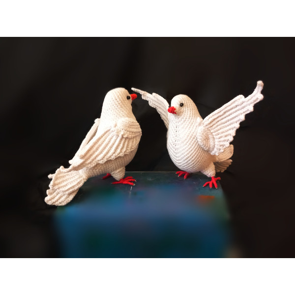 white_dove_of_ peace.jpg