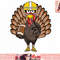 Turkey Football Thanksgiving Turkey Bowl Gift png, instant download.jpg