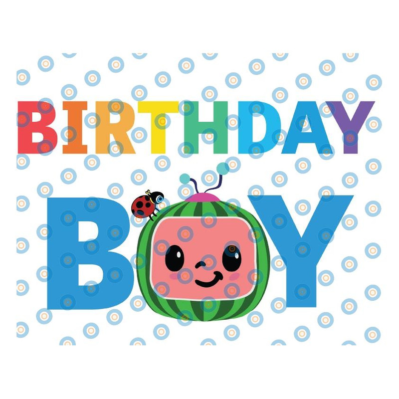 HZ WTM_CV_COCO3 03 BIRTHDAY BOY.jpg