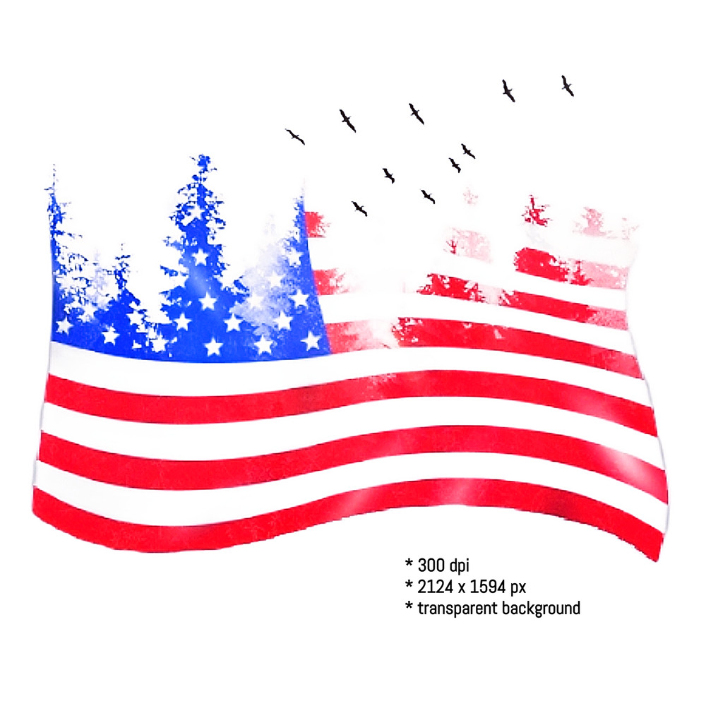 US_flag_png2 (2).png