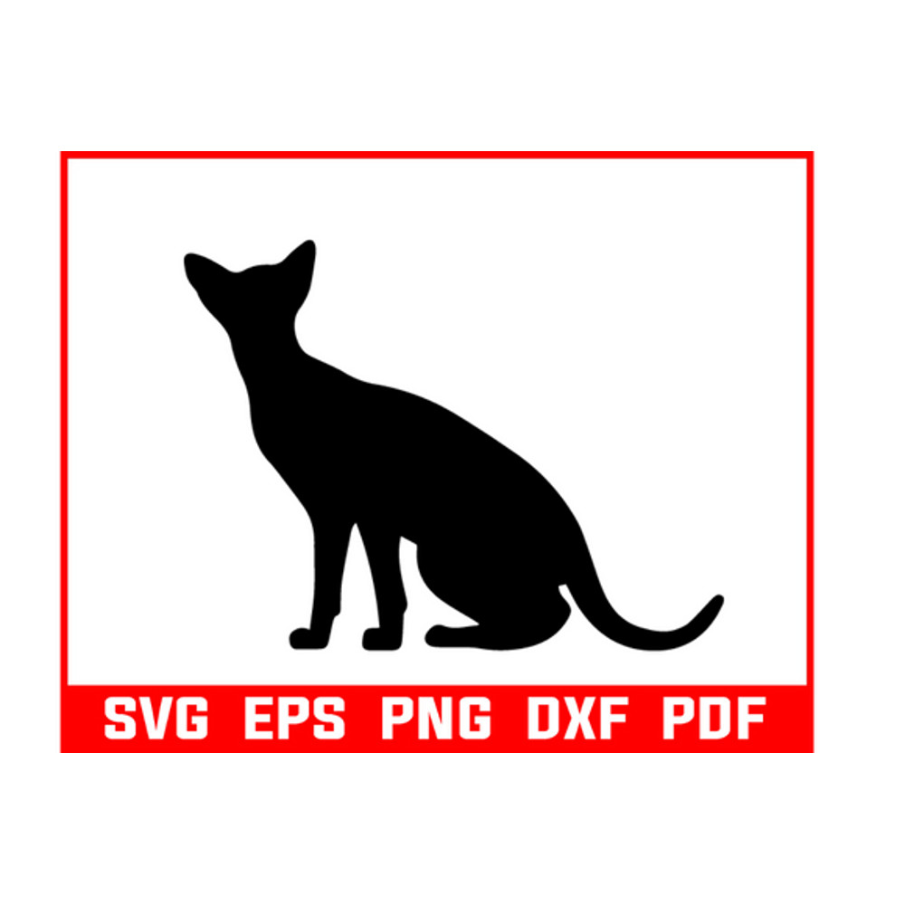 Black-cat-bundle-svg-Graphics-44535609-1-1-580x386.png