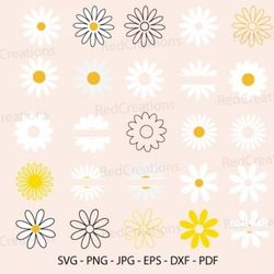 daisy bundle svg, flower, floral, spring daisy bundle svg, flower, floral, spring