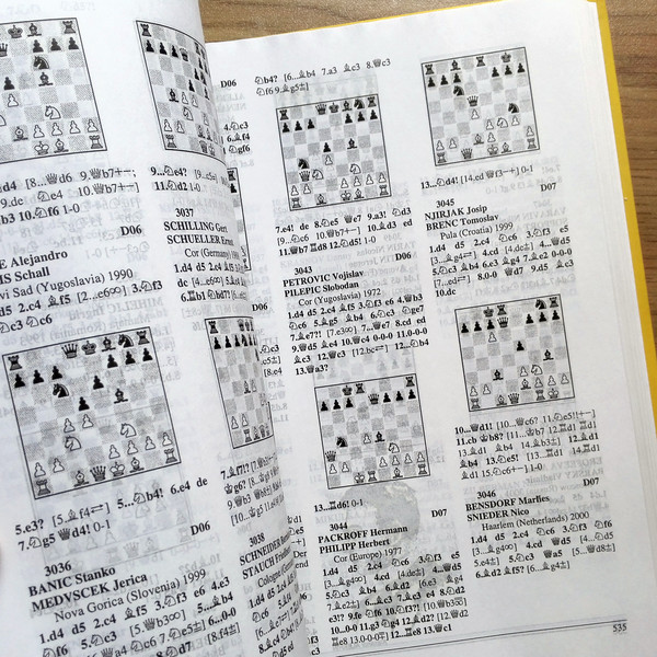 chess-dictionary.jpg