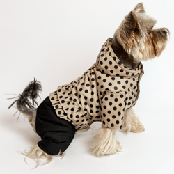 Trendy beige handmade black dotted design jumpsuit for small girl dogs.