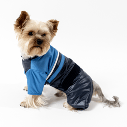Blue Demi-Season Sport Jumpsuit for Small Male Dogs: Active and Stylish!