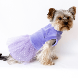 satin crown applique purple dress for small breed dog princesses