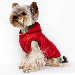 Cozy red waistcoat for small dogs. This unisex vest features a closed back design and a convenient hood.