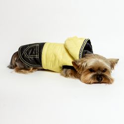 Yellow Costume for Fashionable small dog: Featuring a Black Skirt, Hood, and Cute Decorative Pockets