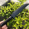 fixedbladeCampingknife