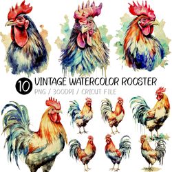 Vintage Watercolor Rooster PNG |  Animal, nursery, png, chicken, hen, upper body, face, image, illustration