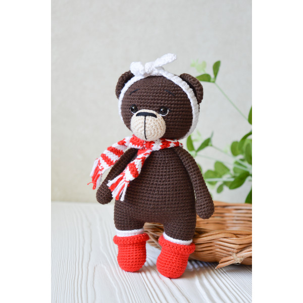 stuffed bear in red shoes.jpg