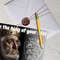 Be the king of your life! (1).png