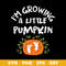 Danbam-I’m-Growing-A-Little--Pumpkin.jpeg