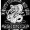 Zippo Dont Tread on me s .jpg