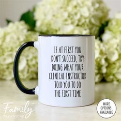 clinical instructor mug - if at first you don't succeed... coffee mug - clinical instructor gift - appreciation gift