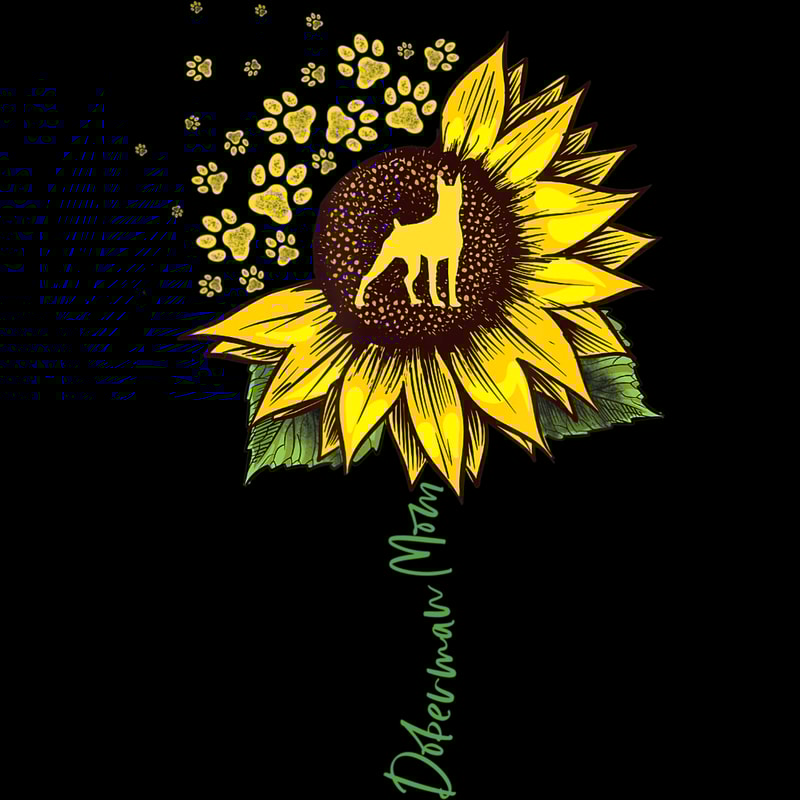 Sunflower (42).jpg