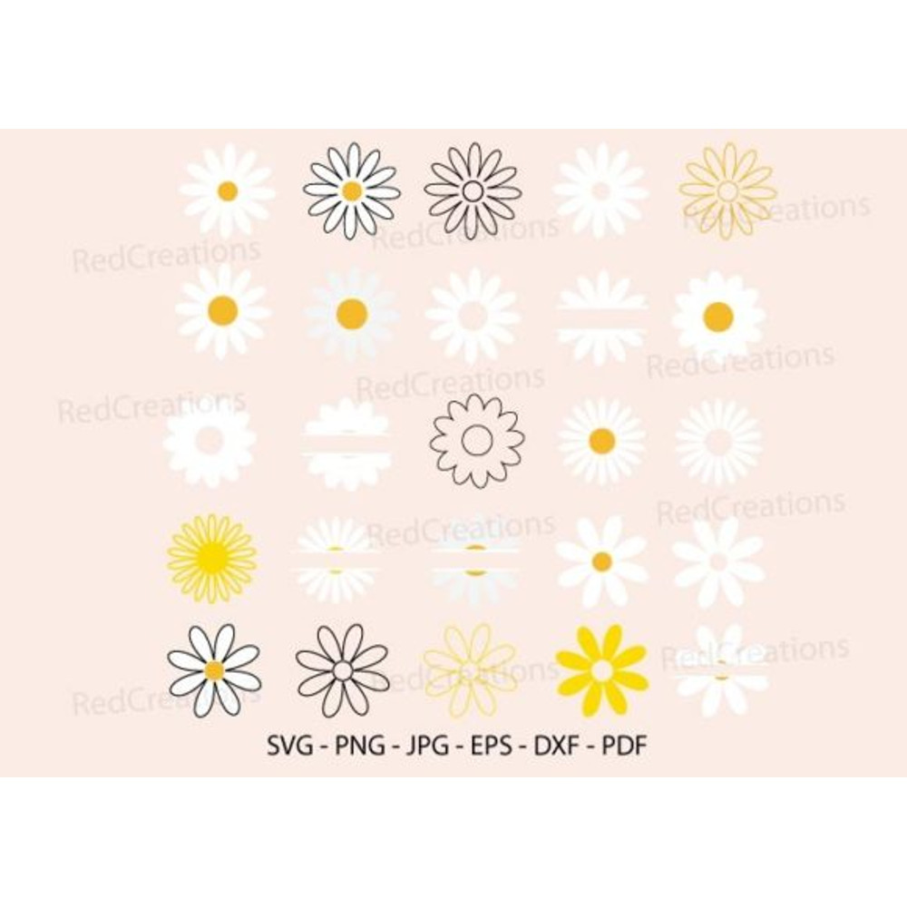 Daisy-Bundle-svg-Flower-Floral-Spring-Graphics-13938958-1-1-580x415.jpg