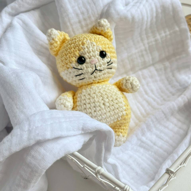 2023-06-29 12.14.16.jpg