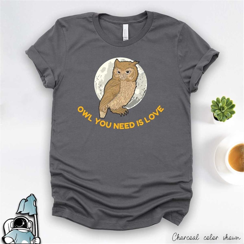 MR-30620231138-owl-shirt-cute-owl-gifts-owl-lovers-owl-you-need-is-love-image-1.jpg