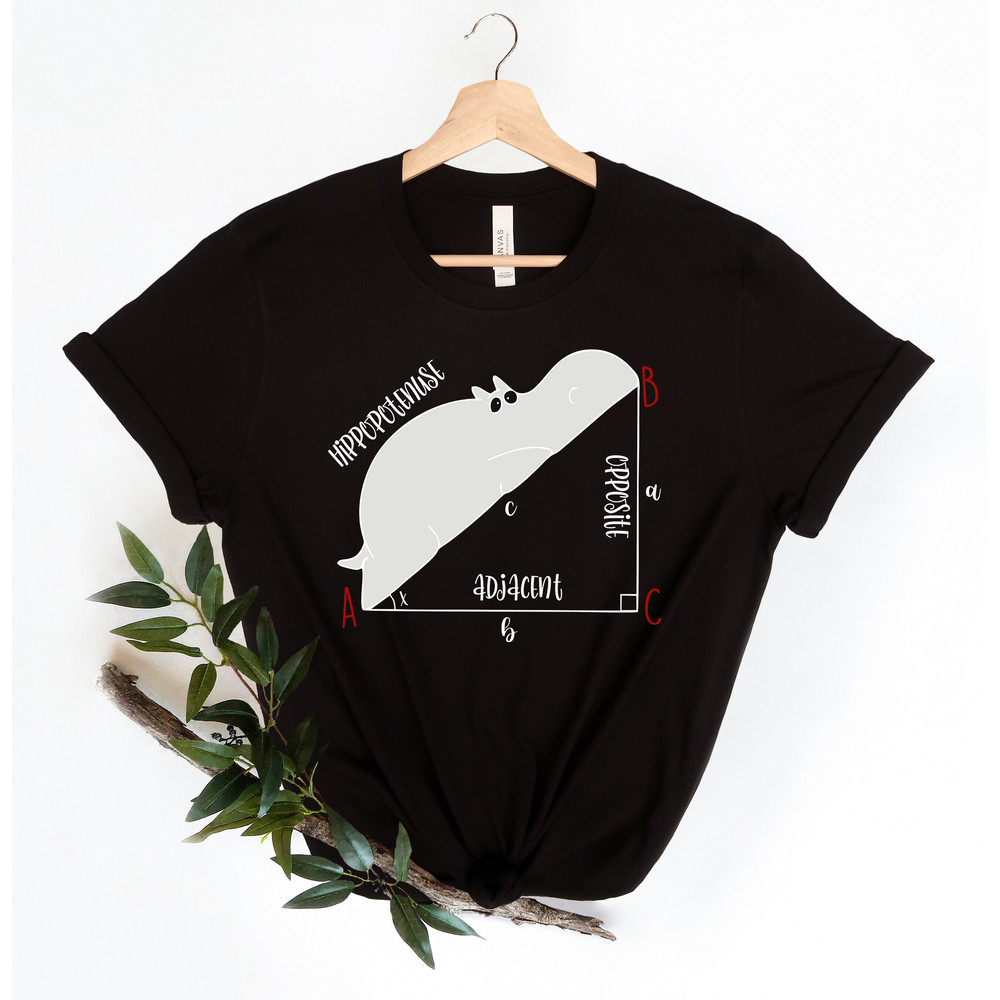 Funny Math T Shirt, Funny Hippopotenuse Shirt, Math Teachers Shirt, Teacher Shirt, Geometry Teacher Gift,Geometry Nerd Gift,Gift For Teacher - 2.jpg