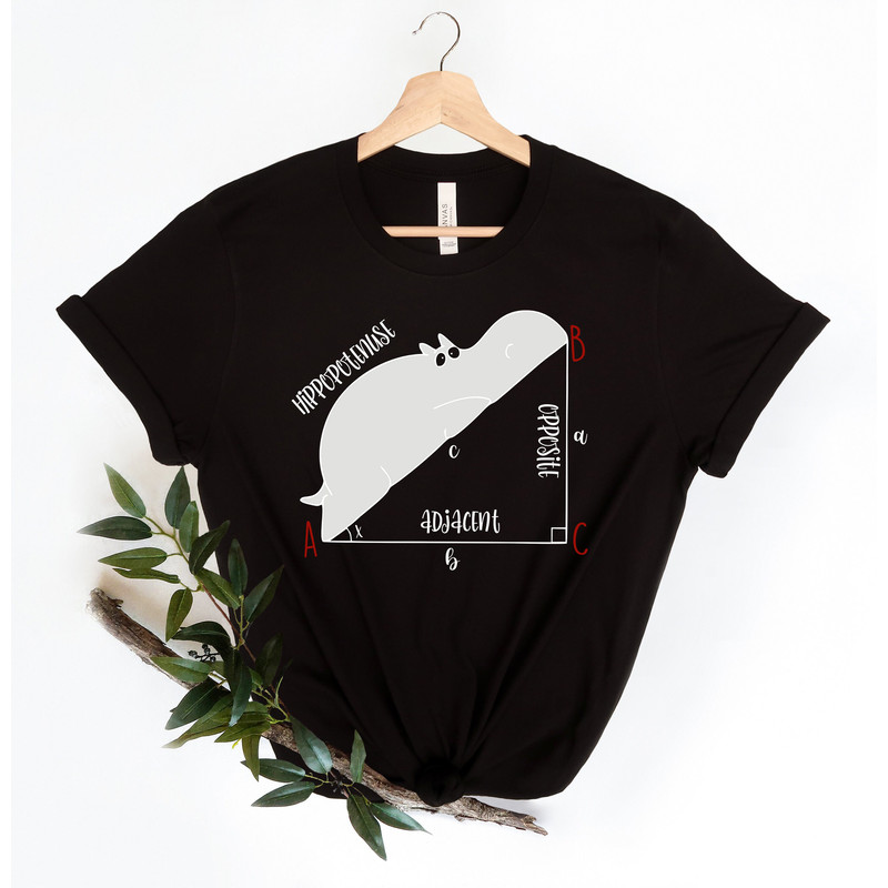 Funny Math T Shirt, Funny Hippopotenuse Shirt, Math Teachers Shirt, Teacher Shirt, Geometry Teacher Gift,Geometry Nerd Gift,Gift For Teacher - 2.jpg