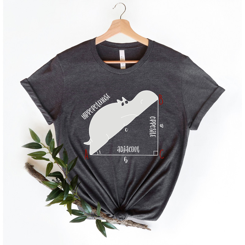 Funny Math T Shirt, Funny Hippopotenuse Shirt, Math Teachers Shirt, Teacher Shirt, Geometry Teacher Gift,Geometry Nerd Gift,Gift For Teacher - 4.jpg