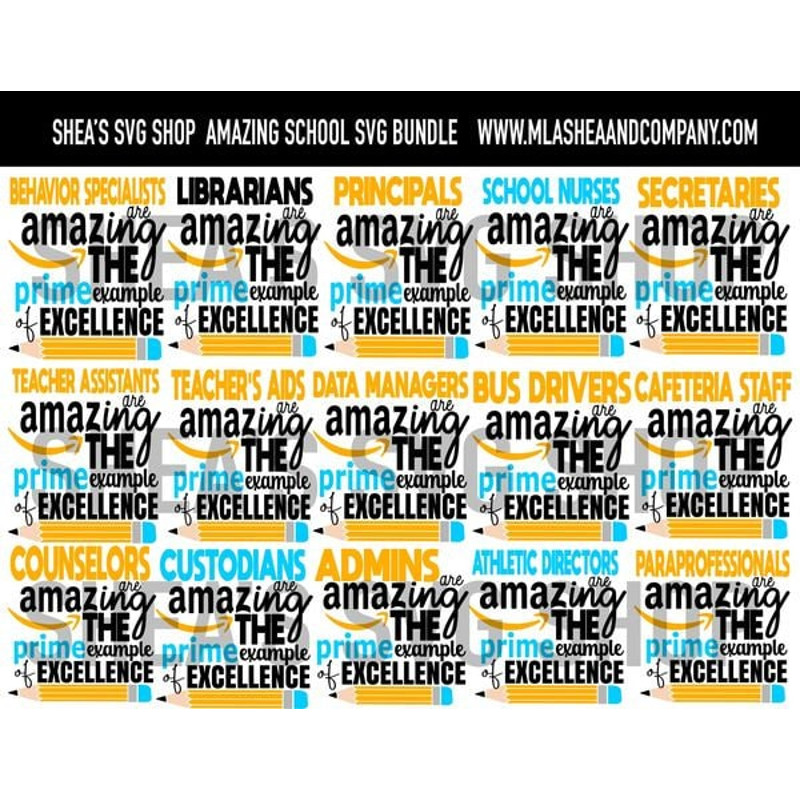 Amazing teacher, prime example, T-shirt designs, shirts, school, Cricut, silhouette studio, SVG cut files, instant downloads, sublimation - 1.jpg