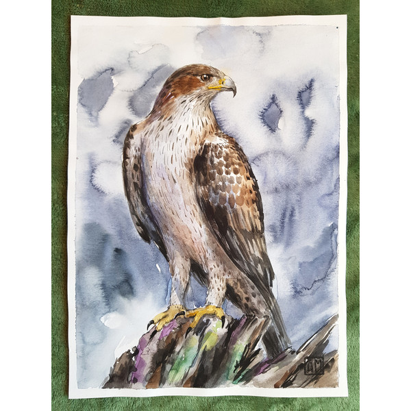 1 Watercolor artwork painting Eagle 8.2 - 11.4 in (21 - 29 cm)..jpg