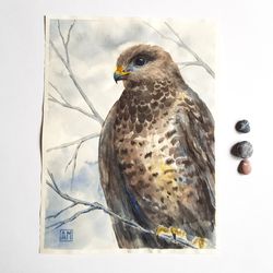 Watercolor artwork painting  Falcon on a branch