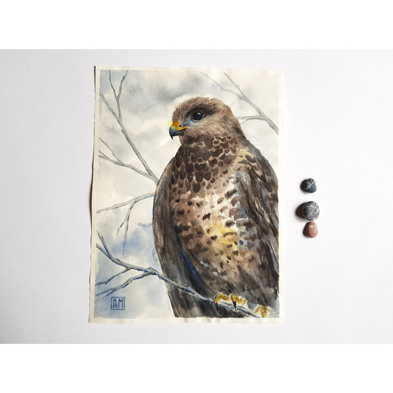 1 Watercolor artwork painting Falcon on a branch 7.6 - 10.5 in (19.5 - 26.8 cm)..jpg