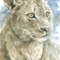 Portrait of a lioness.DPW1 2.jpg