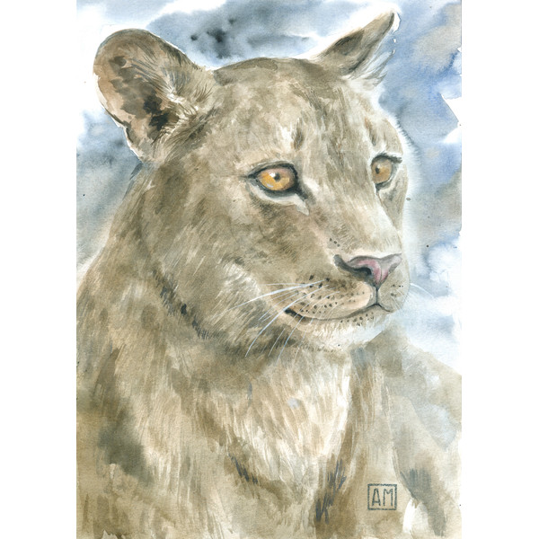 Portrait of a lioness.DPW1 2.jpg