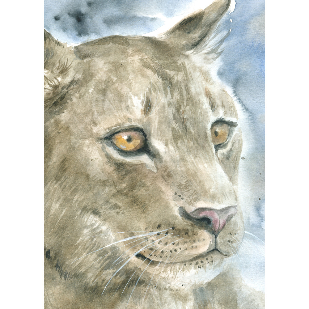 Portrait of a lioness.DPW2 2.jpg