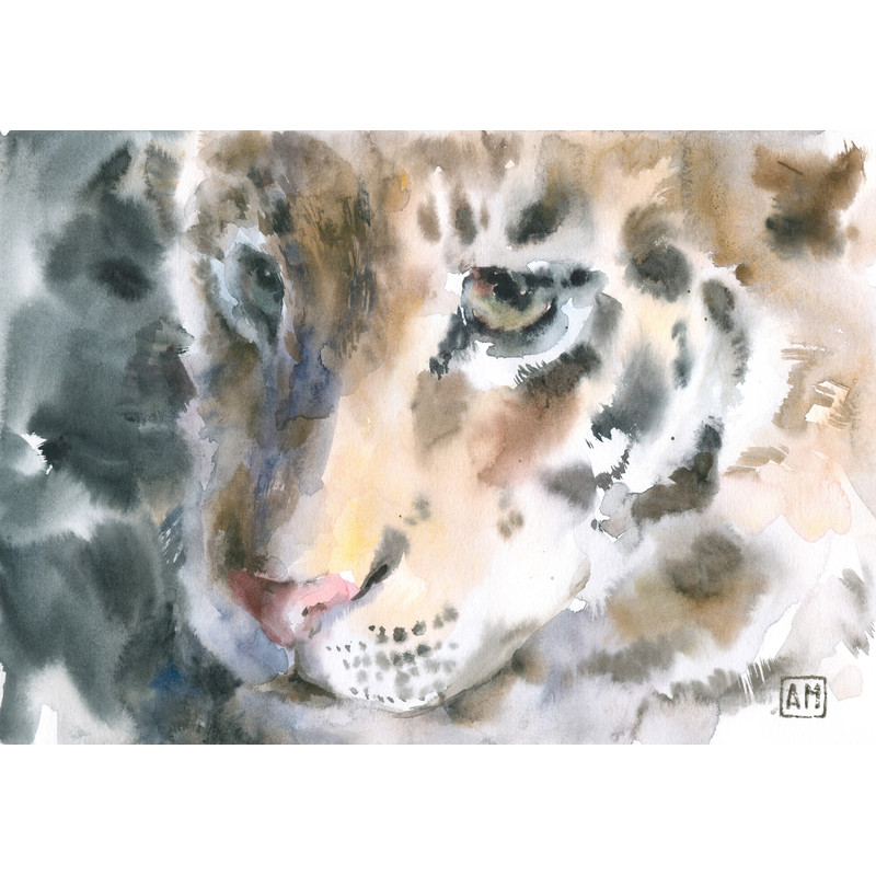 01 Little tiger.DPW1.jpg