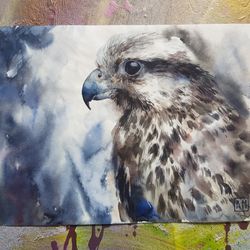 Watercolor artwork painting Falcon