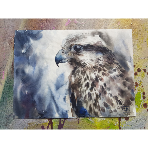 1 Watercolor artwork painting Falcon 10.1- 7.7 in (25.8 - 7.4 cm)..jpg