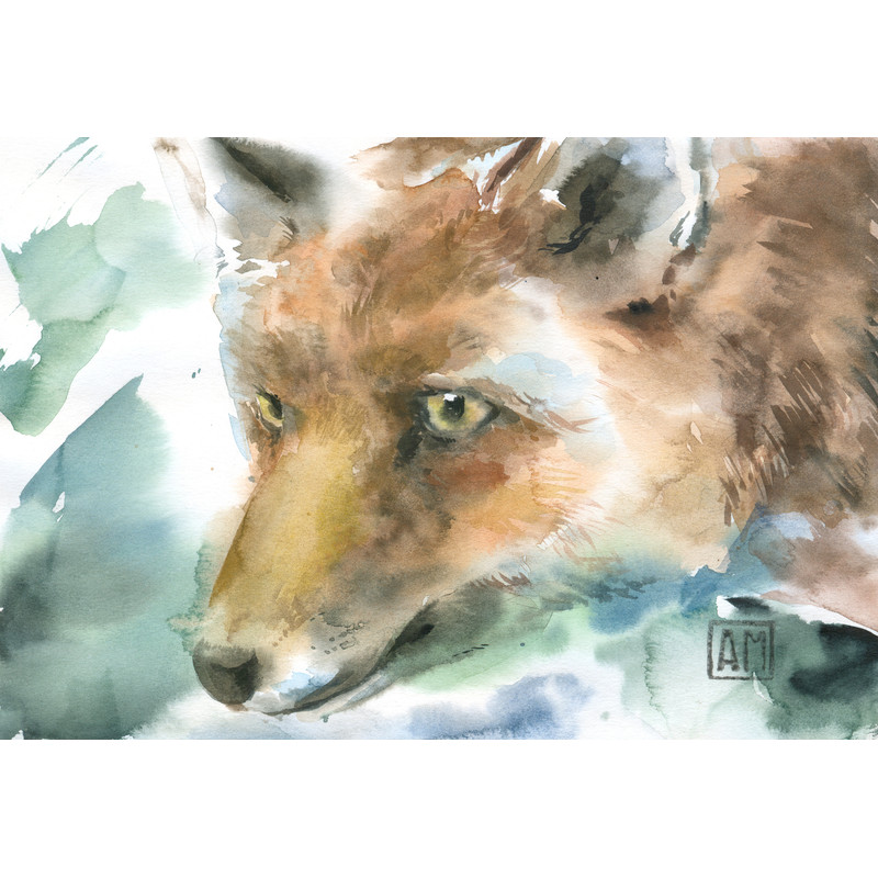 01 Fox in the forest 01..jpg