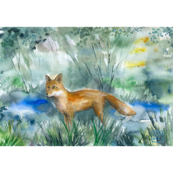 01 Fox in the forest 02..jpg
